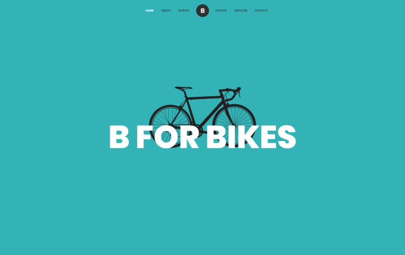 Bicycle Brand
