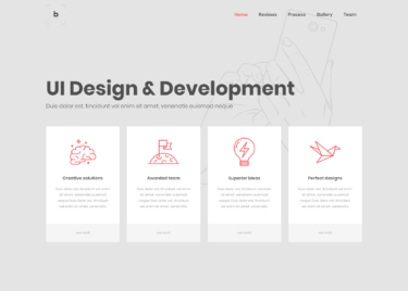 UI Design Company